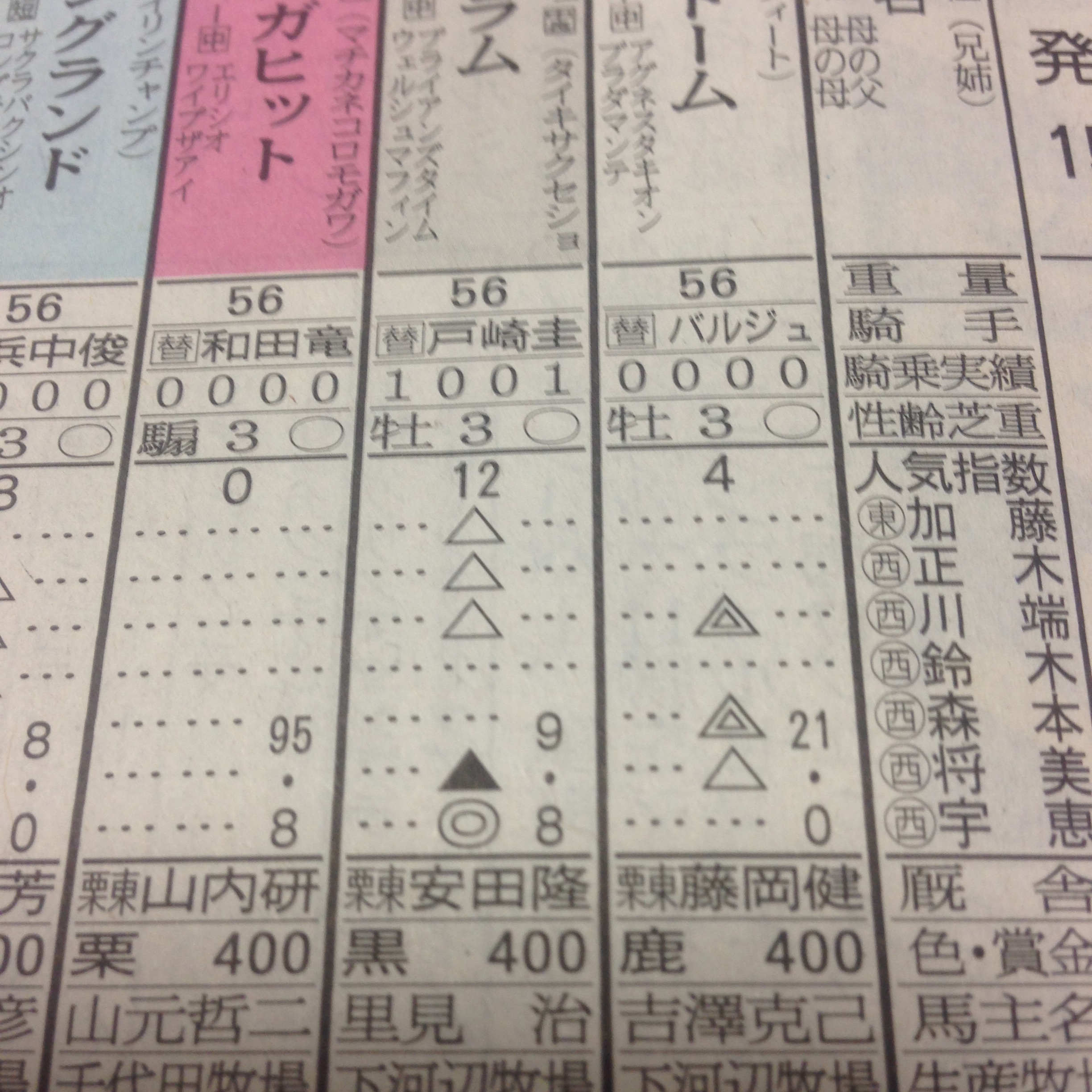 競馬新聞の見方 トシの競馬予想ブログ 初心者向け